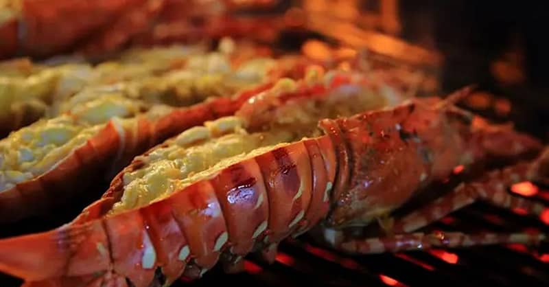 Choose From Sailor Boil Or Captain Boil At Shellfish Bar Dmcc Dubai Shafqa.com Online Shopping, Best Prices in Dubai UAE 13