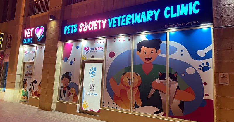 Discover Annual Vaccination, Deworming, Check-Up & More For Pets Dubai Shafqa.com Online Shopping, Best Prices in Dubai UAE 2