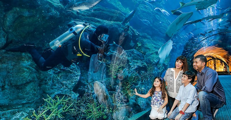 Dive Into The Ultimate Experience Adventure Packages! National Deal Shafqa.com Online Shopping, Best Prices in Dubai UAE 8