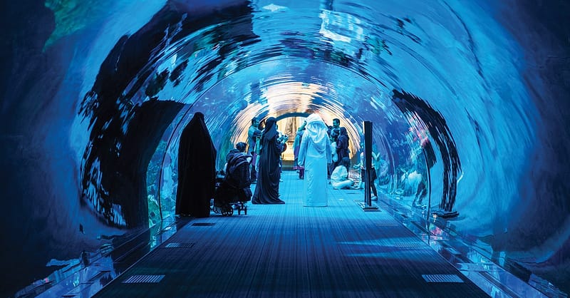 Dive Into The Ultimate Experience Adventure Packages! National Deal Shafqa.com Online Shopping, Best Prices in Dubai UAE 9