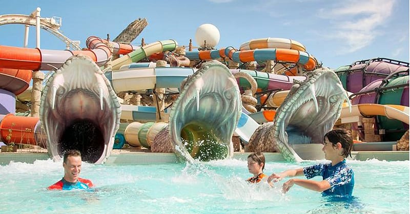 Dive With Fun: One Or Two Park Pass With Abudhabi Tour At Rs Tourism! National Deal Shafqa.com Online Shopping, Best Prices in Dubai UAE 16