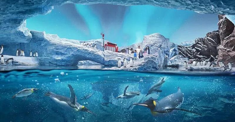 Dive With Fun: One Or Two Park Pass With Abudhabi Tour At Rs Tourism! National Deal Shafqa.com Online Shopping, Best Prices in Dubai UAE 7