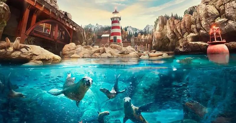 Dive With Fun: One Or Two Park Pass With Abudhabi Tour At Rs Tourism! National Deal Shafqa.com Online Shopping, Best Prices in Dubai UAE 8