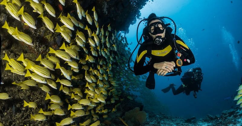 Diving Dubai Shafqa.com Online Shopping, Best Prices in Dubai UAE 3