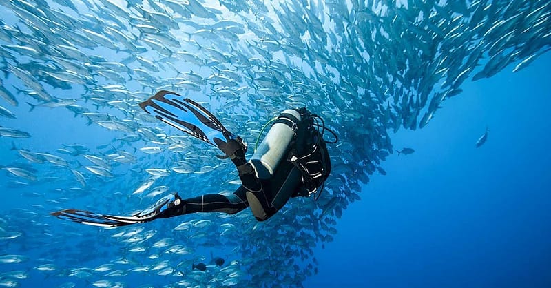Diving Dubai Shafqa.com Online Shopping, Best Prices in Dubai UAE 5
