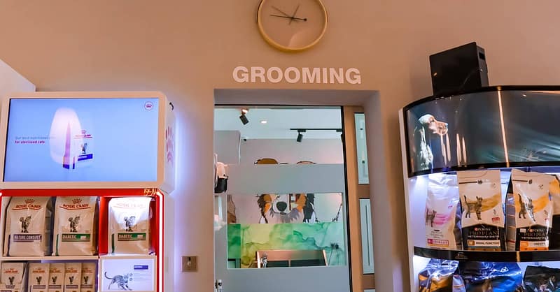 Dog / Cat Grooming From Best Veterinary Clinic In The Uae Award Winner Dubai Shafqa.com Online Shopping, Best Prices in Dubai UAE 14