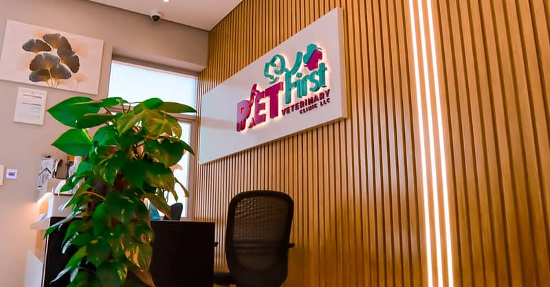Dog / Cat Grooming From Best Veterinary Clinic In The Uae Award Winner Dubai Shafqa.com Online Shopping, Best Prices in Dubai UAE 15