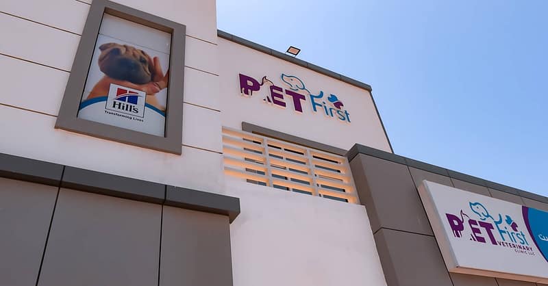 Dog / Cat Grooming From Best Veterinary Clinic In The Uae Award Winner Dubai Shafqa.com Online Shopping, Best Prices in Dubai UAE 16