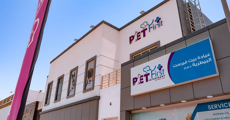 Dog / Cat Grooming From Best Veterinary Clinic In The Uae Award Winner Dubai Shafqa.com Online Shopping, Best Prices in Dubai UAE 18