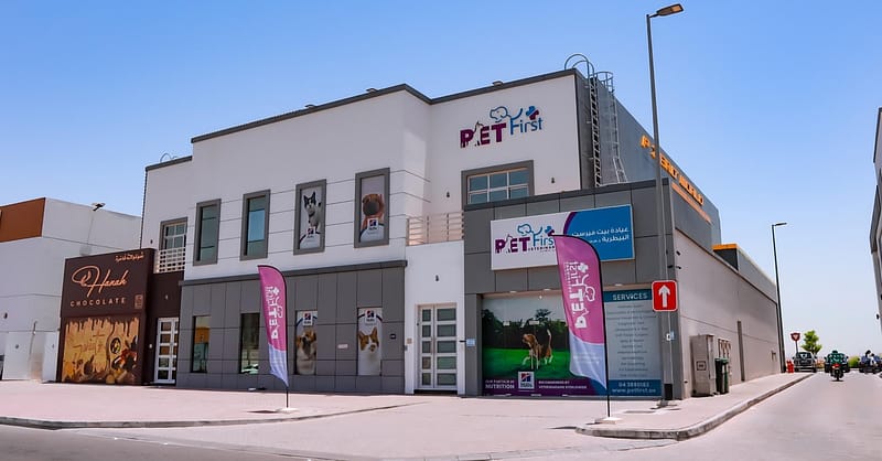 Dog / Cat Grooming From Best Veterinary Clinic In The Uae Award Winner Dubai Shafqa.com Online Shopping, Best Prices in Dubai UAE 19