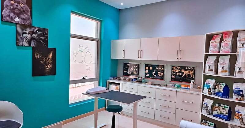Dog / Cat Grooming From Best Veterinary Clinic In The Uae Award Winner Dubai Shafqa.com Online Shopping, Best Prices in Dubai UAE 20