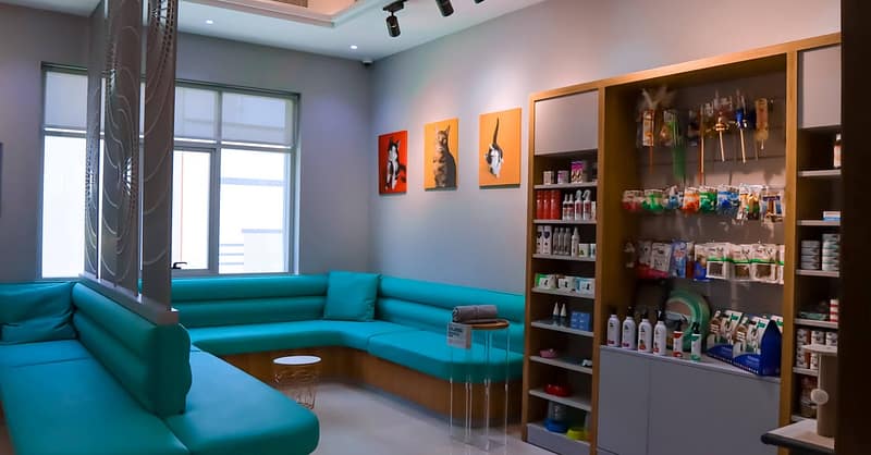 Dog / Cat Grooming From Best Veterinary Clinic In The Uae Award Winner Dubai Shafqa.com Online Shopping, Best Prices in Dubai UAE 4