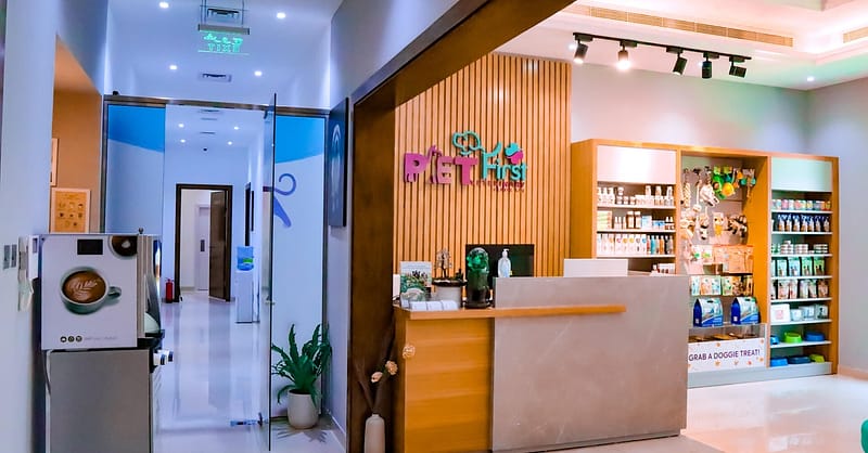 Dog / Cat Grooming From Best Veterinary Clinic In The Uae Award Winner Dubai Shafqa.com Online Shopping, Best Prices in Dubai UAE 5