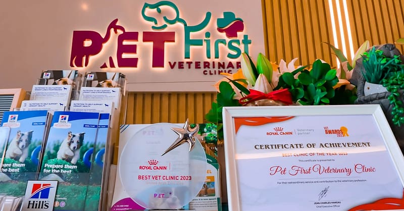 Dog / Cat Grooming From Best Veterinary Clinic In The Uae Award Winner Dubai Shafqa.com Online Shopping, Best Prices in Dubai UAE 7