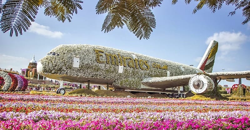 Dubai Frame, The Lost Chambers Aquarium, Wild Wadi Waterpark, & More! Dubai Shafqa.com Online Shopping, Best Prices in Dubai UAE 11