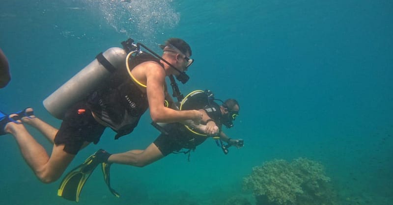 Embark On Adventure: Try Dive, Snorkeling Trip And Boat Trip Dubai Shafqa.com Online Shopping, Best Prices in Dubai UAE 14
