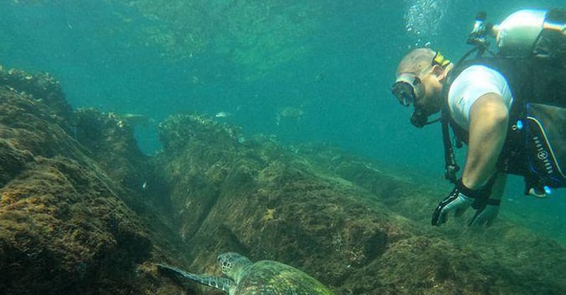 Embark On Adventure: Try Dive, Snorkeling Trip And Boat Trip Dubai Shafqa.com Online Shopping, Best Prices in Dubai UAE 7