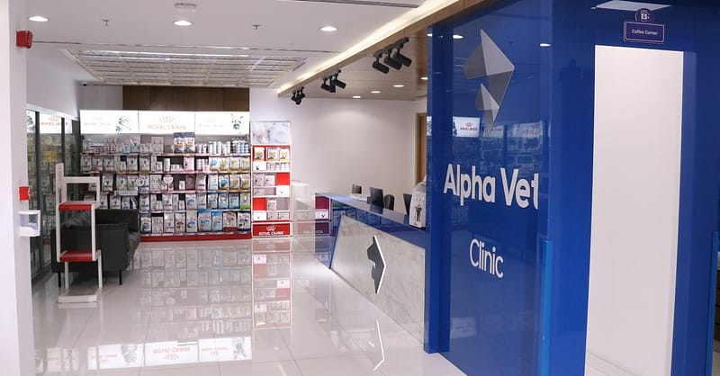 Ensure Your Pets Health With Annual Vaccination For Cat Or Dog! Dubai Shafqa.com Online Shopping, Best Prices in Dubai UAE 12