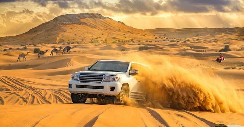 Evening Desert Safari Dubai Shafqa.com Online Shopping, Best Prices in Dubai UAE 7