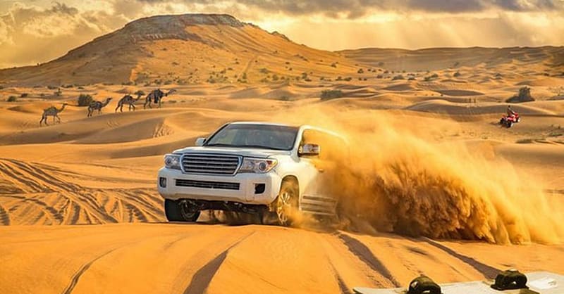 Evening Desert Safari For Up To Six People At Desert Lion Tourism Dubai Shafqa.com Online Shopping, Best Prices in Dubai UAE 3