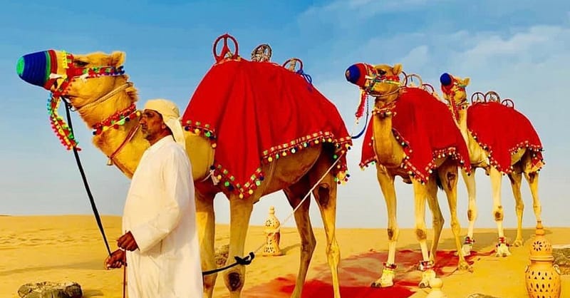 Evening Desert Safari With Optional Pick-Up For Up To Six Dubai Shafqa.com Online Shopping, Best Prices in Dubai UAE 5