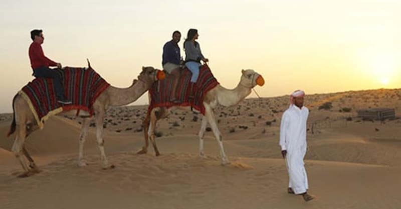Experience A Desert Safari Adventure With Basic Or Vip Perks! Sharjah & N. Emirates Shafqa.com Online Shopping, Best Prices in Dubai UAE 3