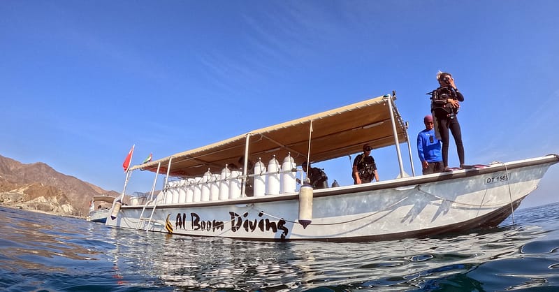 Snorkeling Or Scuba Diving Experience At Al Boom Diving Dubai Shafqa.com Online Shopping, Best Prices in Dubai UAE 3