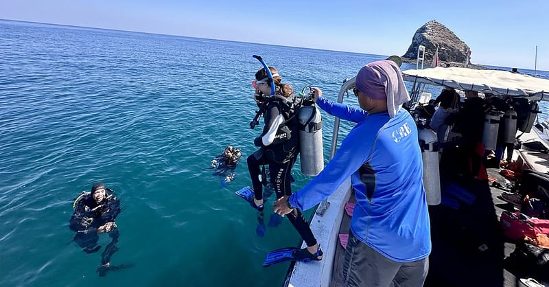 Snorkeling Or Scuba Diving Experience At Al Boom Diving Dubai Shafqa.com Online Shopping, Best Prices in Dubai UAE 4