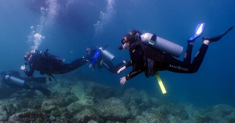 Snorkeling Or Scuba Diving Experience At Al Boom Diving Dubai Shafqa.com Online Shopping, Best Prices in Dubai UAE 6