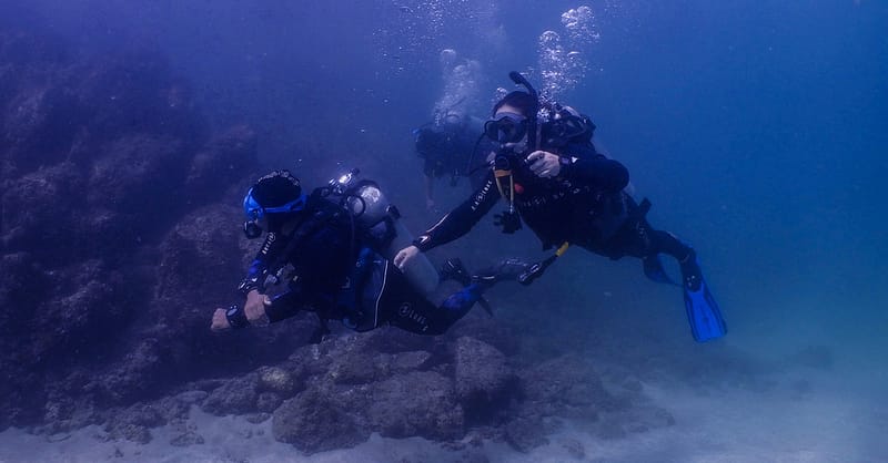 Snorkeling Or Scuba Diving Experience At Al Boom Diving Dubai Shafqa.com Online Shopping, Best Prices in Dubai UAE 8