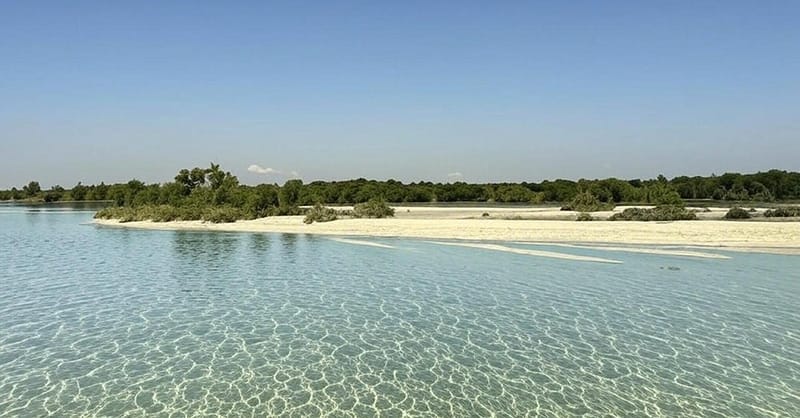 Explore Abu Dhabi In 1, 2, 3, Or 4 Hour Tours For Up To 12 Guests Abu Dhabi Shafqa.com Online Shopping, Best Prices in Dubai UAE 8