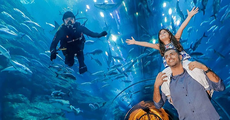 Explore Dubai Aquarium, Underwater Zoo And Penguin Cove Dubai Shafqa.com Online Shopping, Best Prices in Dubai UAE 5