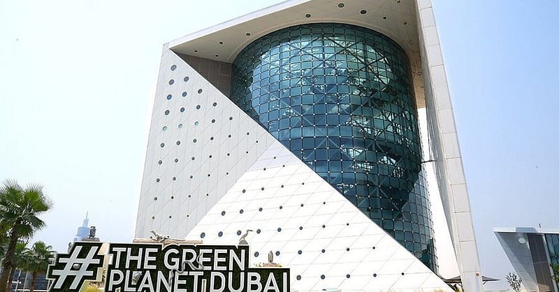 Explore Dubai Aquarium With Frame, Glow Garden, Aya Universe & More! Dubai Shafqa.com Online Shopping, Best Prices in Dubai UAE 12