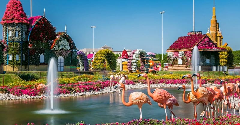 Explore Dubai Aquarium With Frame, Glow Garden, Aya Universe & More! Dubai Shafqa.com Online Shopping, Best Prices in Dubai UAE 13