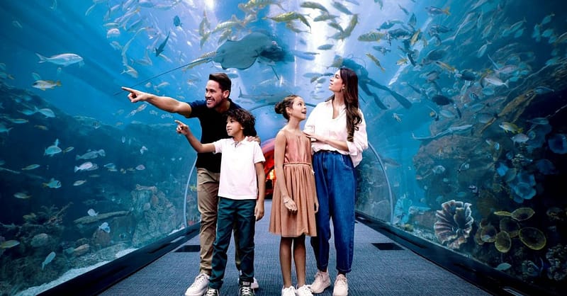 Explore Dubai Aquarium With Frame, Glow Garden, Aya Universe & More! Dubai Shafqa.com Online Shopping, Best Prices in Dubai UAE 9