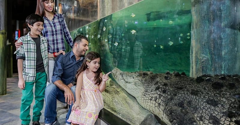 Explore Dubai Aquarium With Frame, Glow Garden, Aya Universe & More! Dubai Shafqa.com Online Shopping, Best Prices in Dubai UAE 10