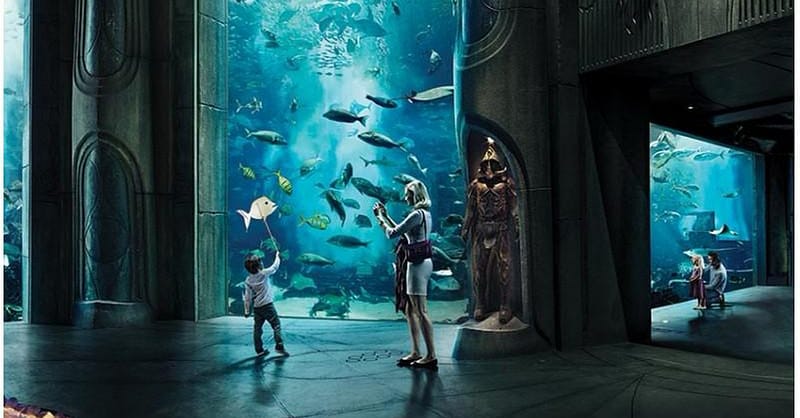 Explore Dubai’S Lost Chambers Aquarium: Tickets For One, Two, Or Four Dubai Shafqa.com Online Shopping, Best Prices in Dubai UAE 15