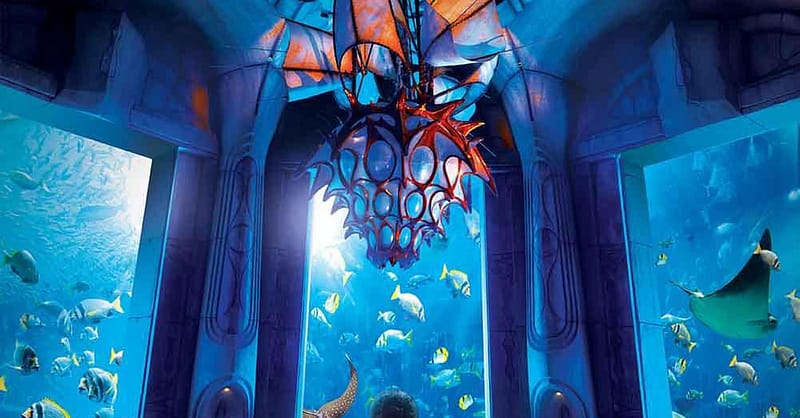 Explore Dubai’S Lost Chambers Aquarium: Tickets For One, Two, Or Four Dubai Shafqa.com Online Shopping, Best Prices in Dubai UAE 17