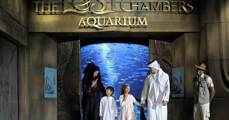 Explore Dubai’S Lost Chambers Aquarium: Tickets For One, Two, Or Four Dubai Shafqa.com Online Shopping, Best Prices in Dubai UAE 19
