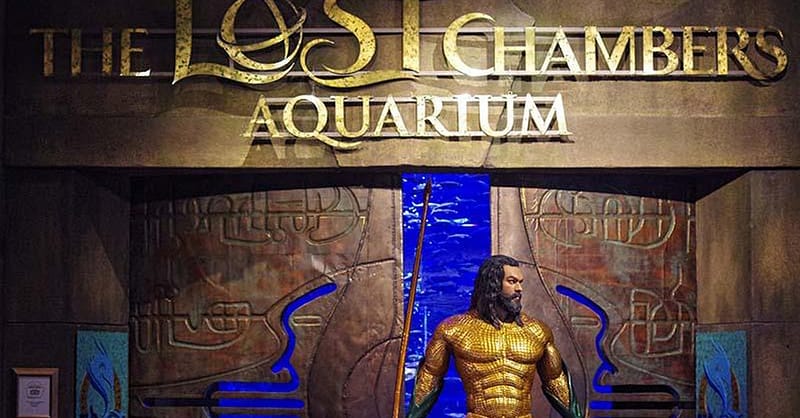 Explore Dubai’S Lost Chambers Aquarium: Tickets For One, Two, Or Four Dubai Shafqa.com Online Shopping, Best Prices in Dubai UAE 21
