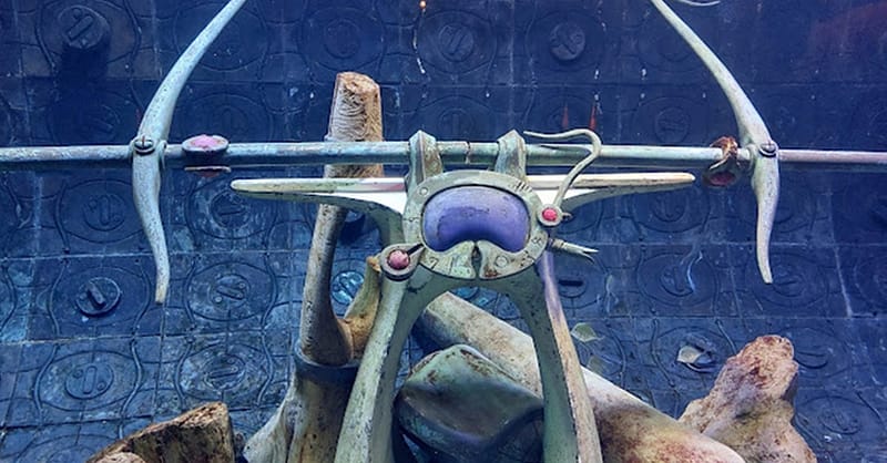 Explore Dubai’S Lost Chambers Aquarium: Tickets For One, Two, Or Four Dubai Shafqa.com Online Shopping, Best Prices in Dubai UAE 10