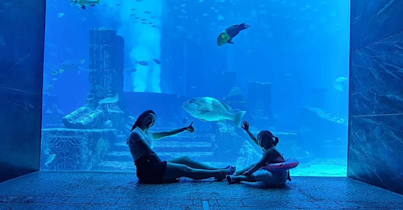 Explore Dubai’S Lost Chambers Aquarium: Tickets For One, Two, Or Four Dubai Shafqa.com Online Shopping, Best Prices in Dubai UAE 2