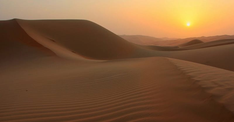 Explore The Dubai Desert Safari Adventure For Upto Four People Dubai Shafqa.com Online Shopping, Best Prices in Dubai UAE 8