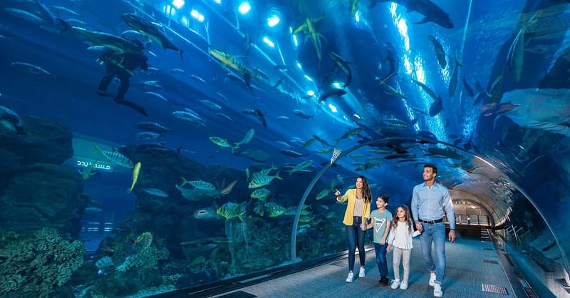 Fascinating Aquaventure Waterpark With Lost Chambers Aquarium National Deal Shafqa.com Online Shopping, Best Prices in Dubai UAE 7