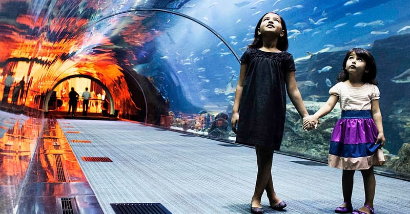 Fascinating Aquaventure Waterpark With Lost Chambers Aquarium National Deal Shafqa.com Online Shopping, Best Prices in Dubai UAE 8