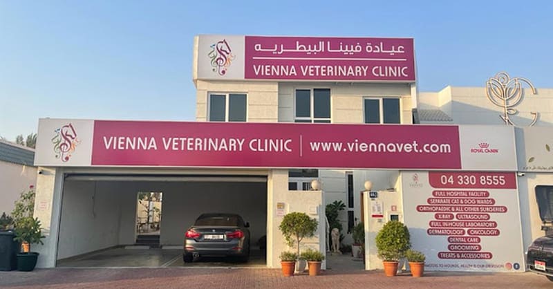 Fluff & Shine: Treat Your Pet To Luxury! Dubai Shafqa.com Online Shopping, Best Prices in Dubai UAE 4