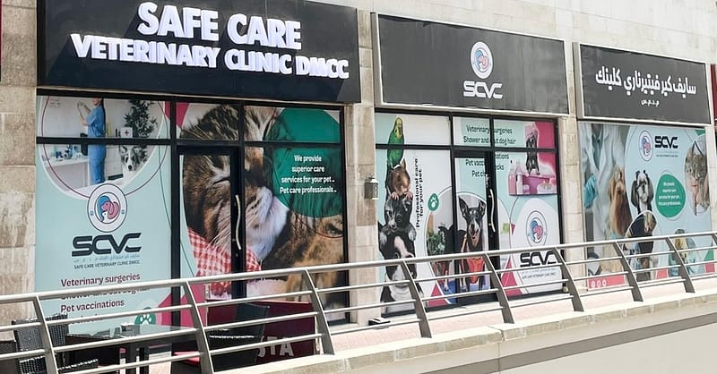 Full Cat And Dog Grooming In Jlt Dubai Shafqa.com Online Shopping, Best Prices in Dubai UAE 3