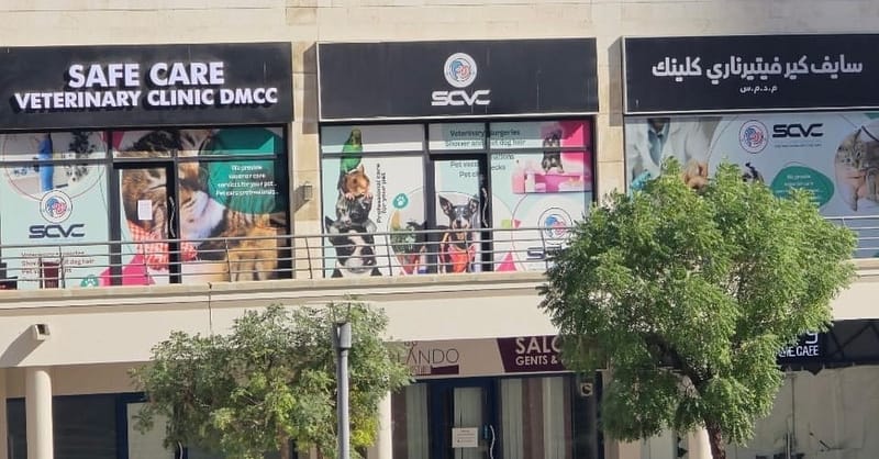 Full Cat And Dog Grooming In Jlt Dubai Shafqa.com Online Shopping, Best Prices in Dubai UAE 6