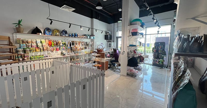 Full Grooming For Small, Medium, Large, Or X-Large Pet Dubai Shafqa.com Online Shopping, Best Prices in Dubai UAE 3