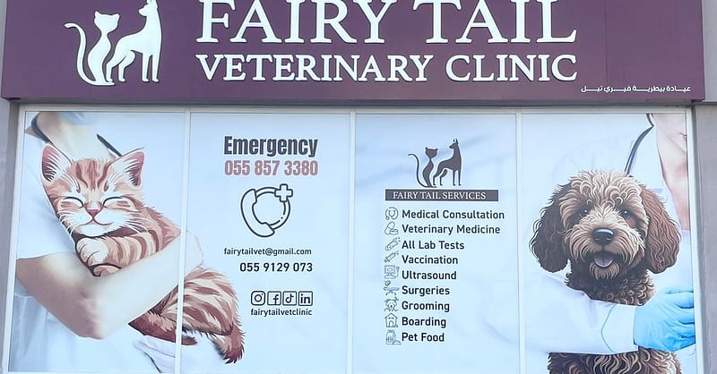 Grooming For Medium Dogs, Large Dogs, And Cats/Small Dogs Dubai Shafqa.com Online Shopping, Best Prices in Dubai UAE 2